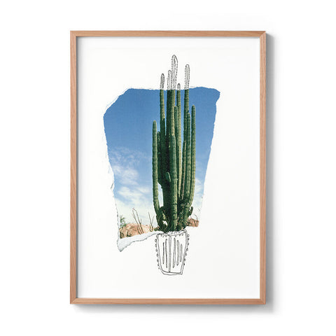 Cactus Solo - We Sell Prints