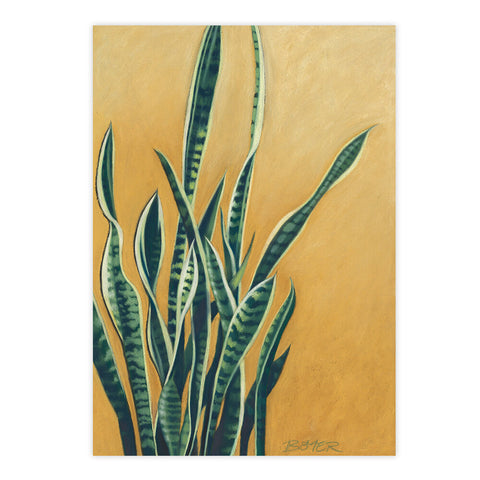 Tangled Sansevieria - We Sell Prints