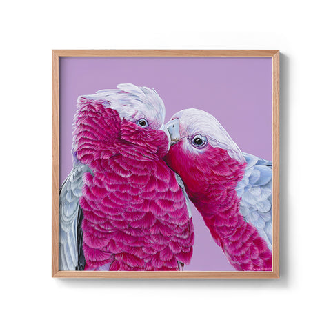 Galahs - We Sell Prints