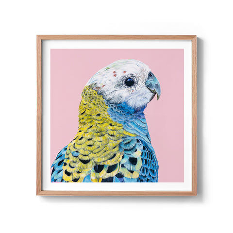 Rosie - We Sell Prints