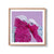 Galahs - We Sell Prints