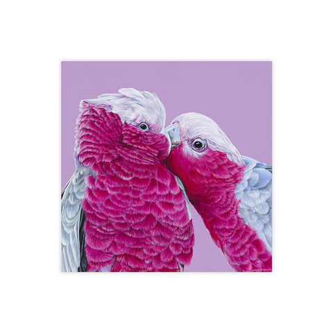 Galahs - We Sell Prints