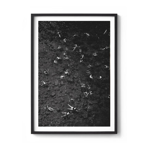 Floating Ants - We Sell Prints