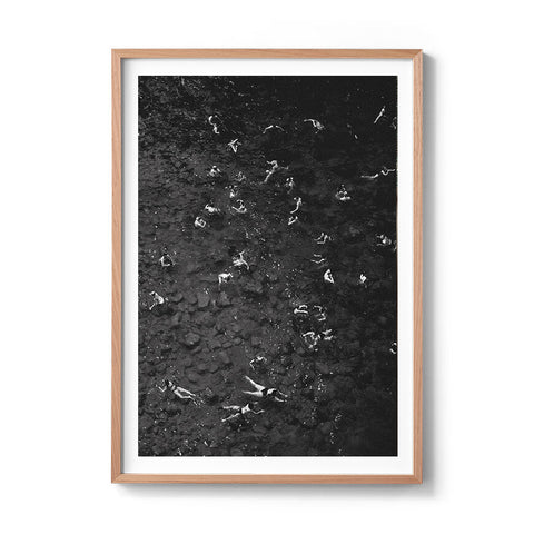 Floating Ants - We Sell Prints