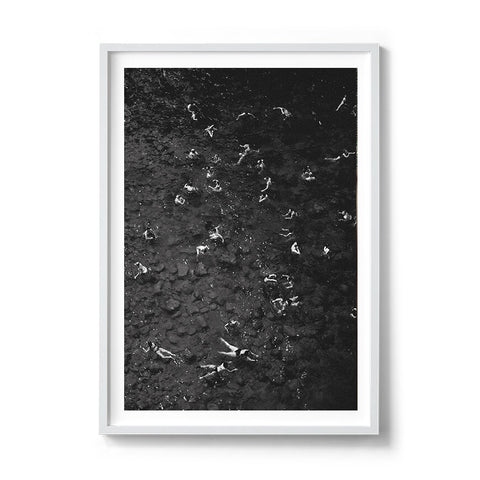 Floating Ants - We Sell Prints