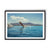 Point Your Toes - We Sell Prints