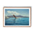 Point Your Toes - We Sell Prints