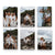 Giclee Photo Print Packs